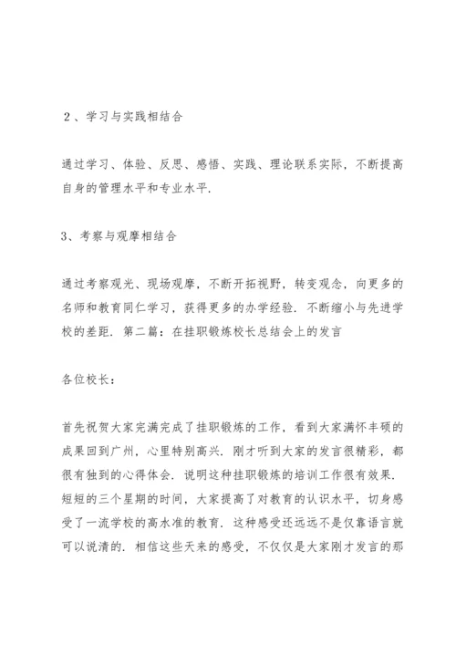 校长挂职锻炼总结.docx