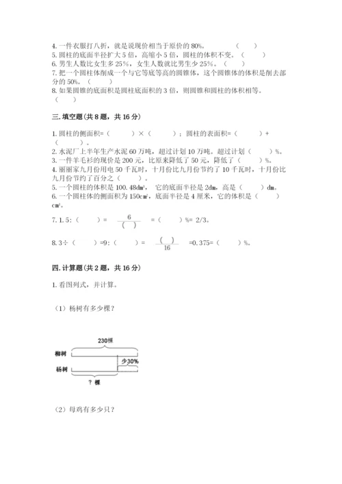 苏教版六年级下册数学期中测试卷（培优b卷）.docx