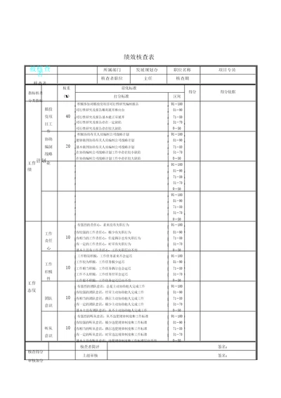 项目专员绩效考核表格