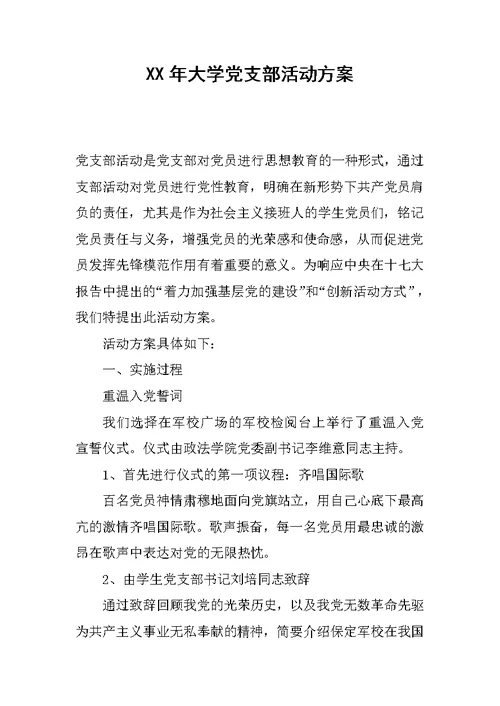 XX年大学党支部活动方案