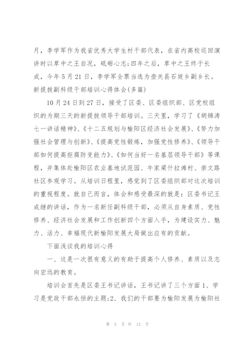 提拔副科级干部培训心得体会(多篇).docx