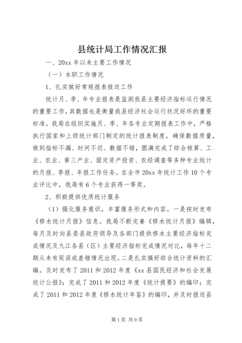 县统计局工作情况汇报.docx