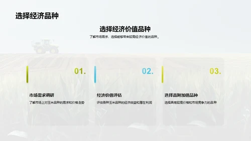 玉米种植全科技攻略