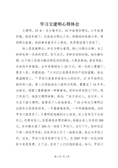 学习文建明心得体会.docx