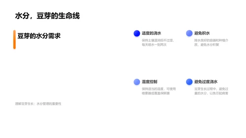 豆芽实验成果汇报PPT模板