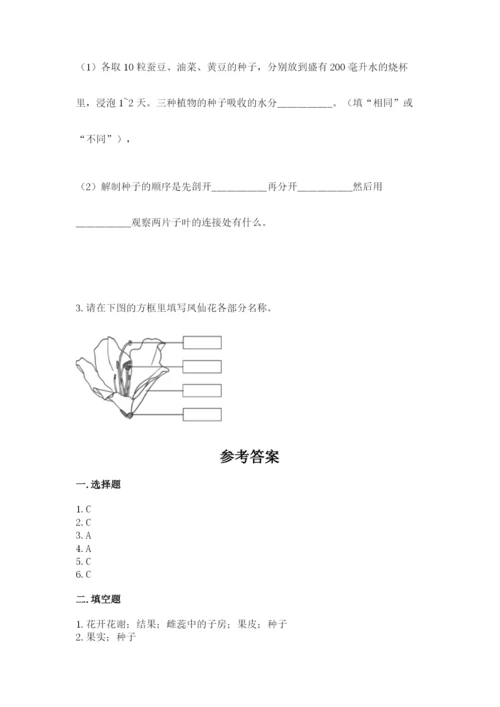 教科版四年级下册科学第一单元《植物的生长变化》测试卷（培优）.docx