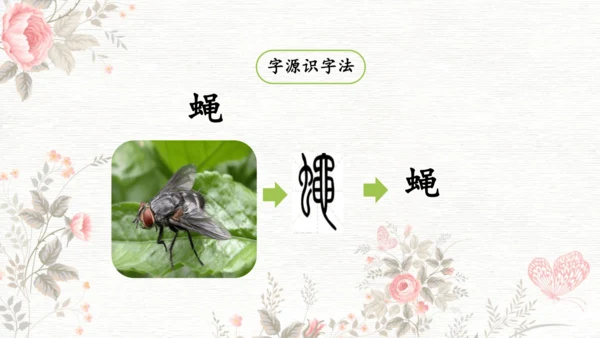 6夜间飞行的秘密  课件