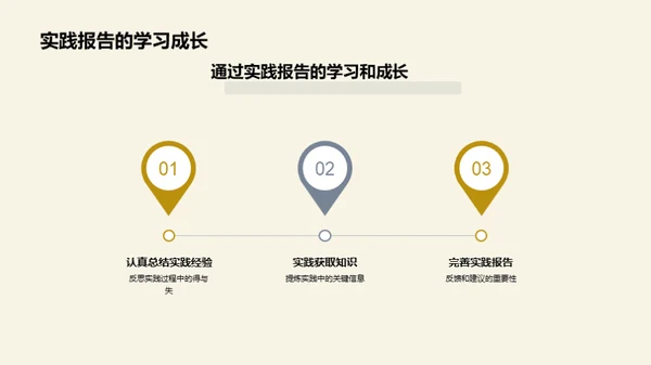 实践报告精要