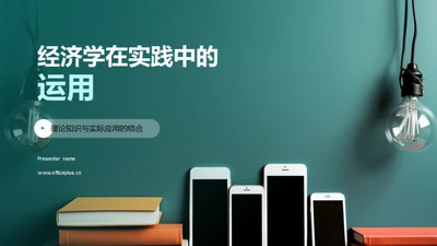 经济学在实践中的运用