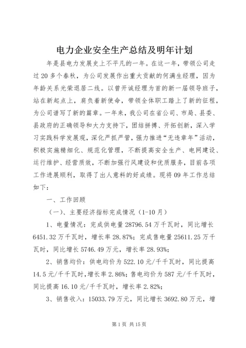 电力企业安全生产总结及明年计划.docx