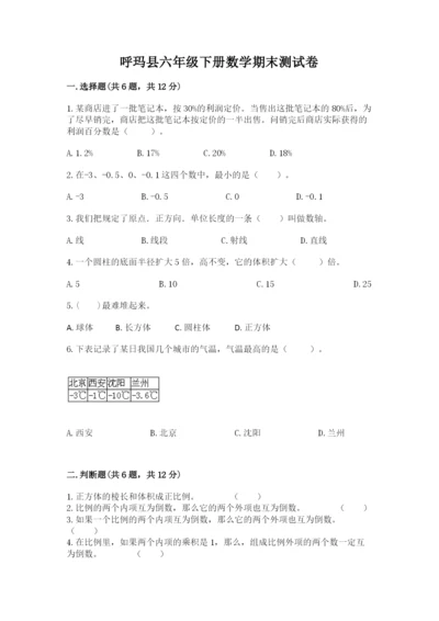 呼玛县六年级下册数学期末测试卷汇编.docx