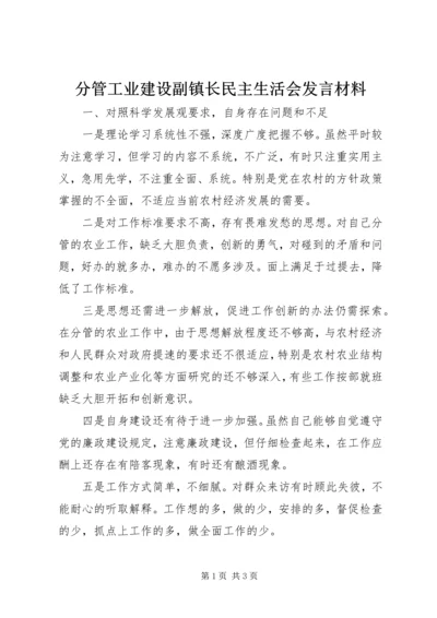 分管工业建设副镇长民主生活会发言材料 (2).docx