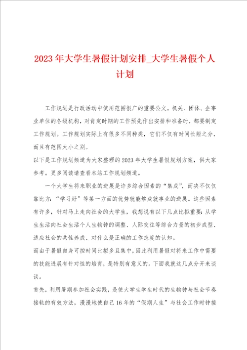 2023年大学生暑假计划安排