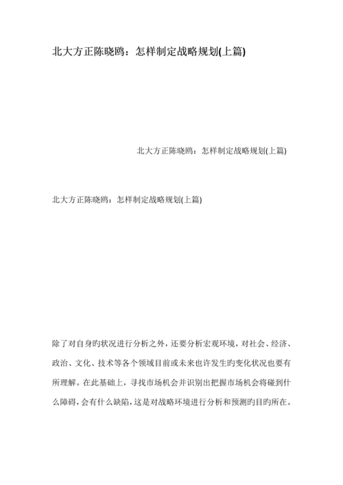 北大方正陈晓鸥如何制定战略规划上篇.docx