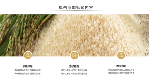 健康绿色有机大米农业粮食推广销售PPT模板