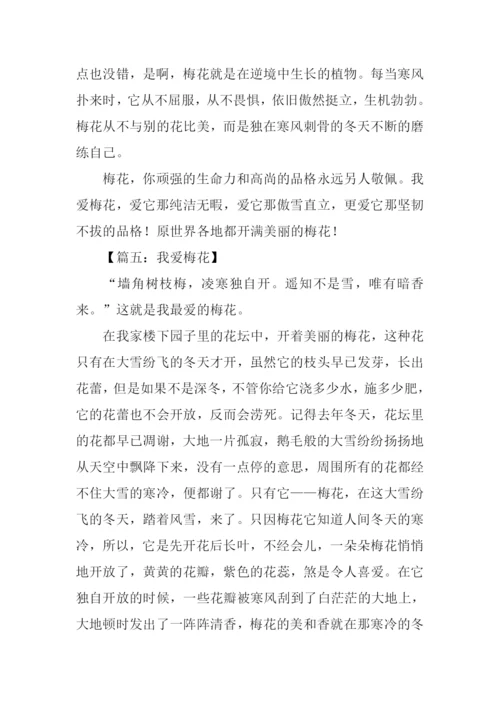 我爱梅花作文300字.docx