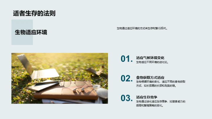 生物演化与多样性