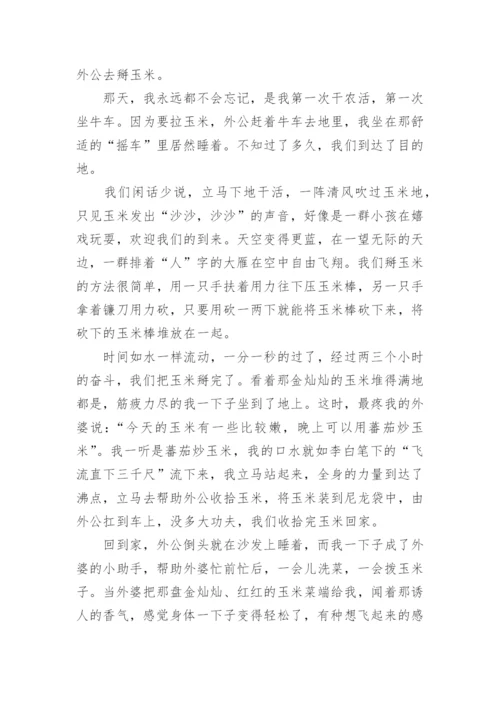 关于劳动的高中生优秀作文800字5篇.docx