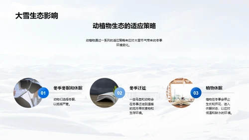 大雪节气与地理