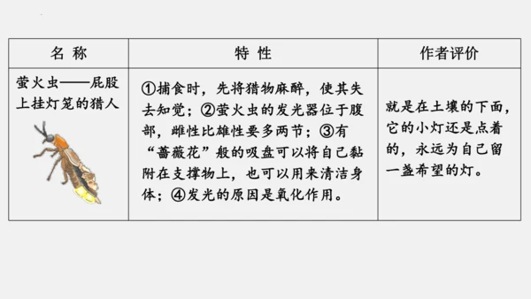 八年级上册语文第五单元 名著导读 《昆虫记》 课件