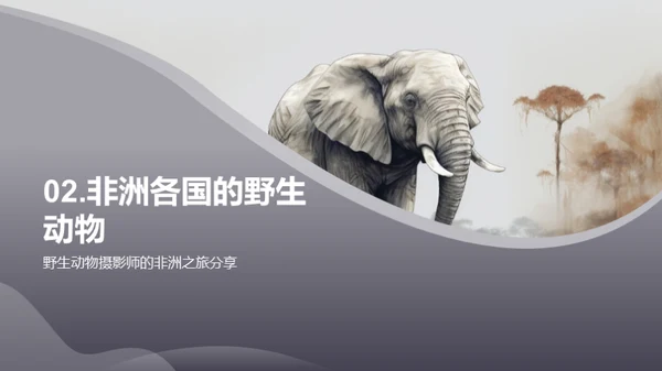 探索非洲野生动物之旅