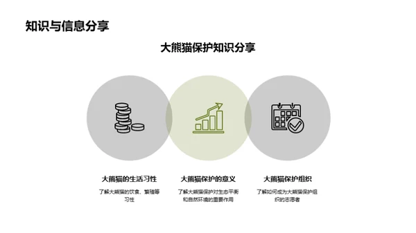 守护国宝：大熊猫保护行动