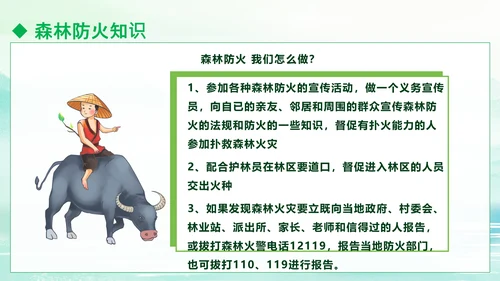 清明防火知识安全宣讲通用PPT模板