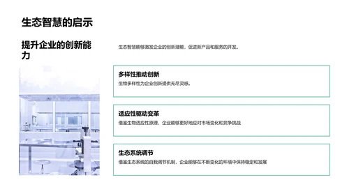 生态智慧在企业中的应用PPT模板