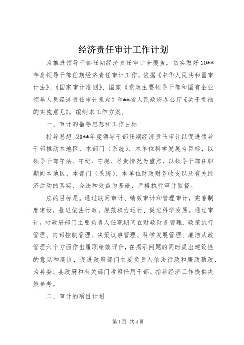 经济责任审计工作计划.docx