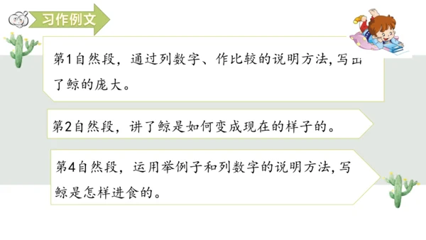 第五单元习作例文鲸