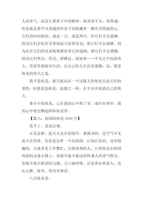 描写桂花样子的作文.docx