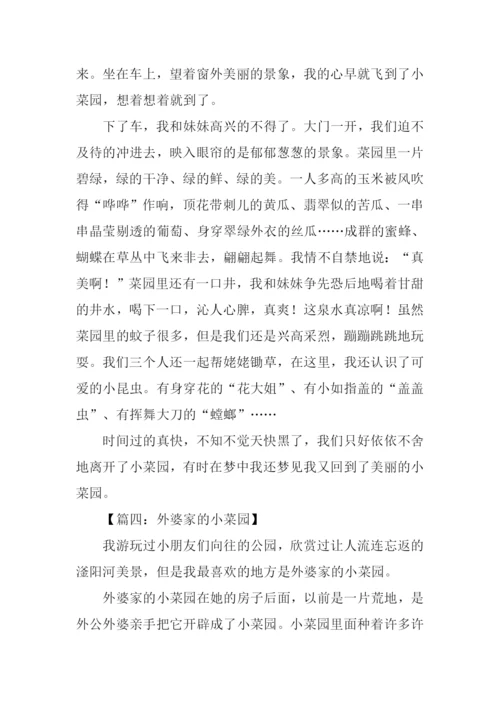 姥姥家的小菜园作文.docx