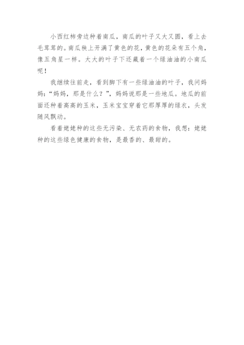 姥姥家的小菜园作文.docx