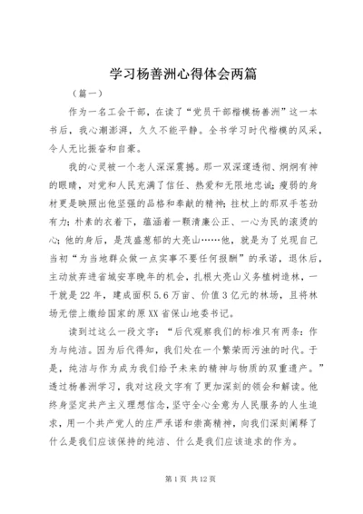 学习杨善洲心得体会两篇.docx