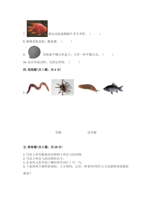 教科版一年级下册科学期末测试卷精品（含答案）.docx
