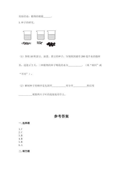 科学四年级下册第一单元植物的生长变化测试卷及完整答案（名师系列）.docx