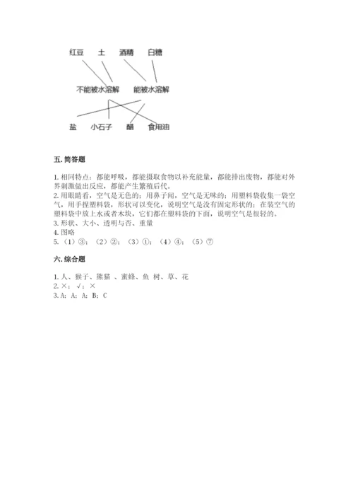 教科版一年级下册科学期末测试卷精品（完整版）.docx