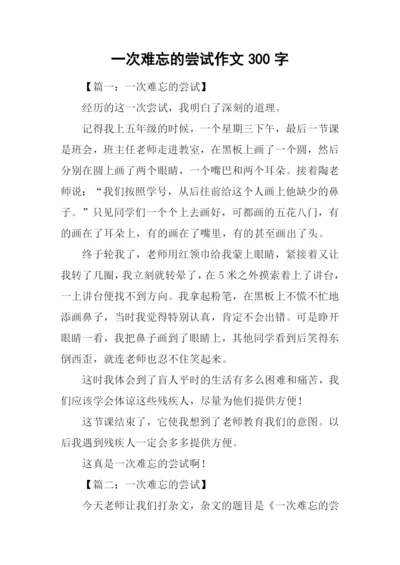 一次难忘的尝试作文300字.docx