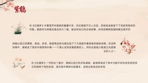 红楼梦人物介绍通用PPT模板