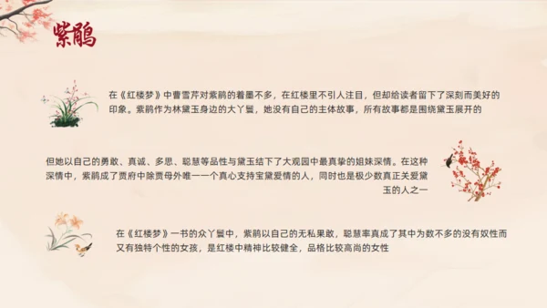 红楼梦人物介绍通用PPT模板