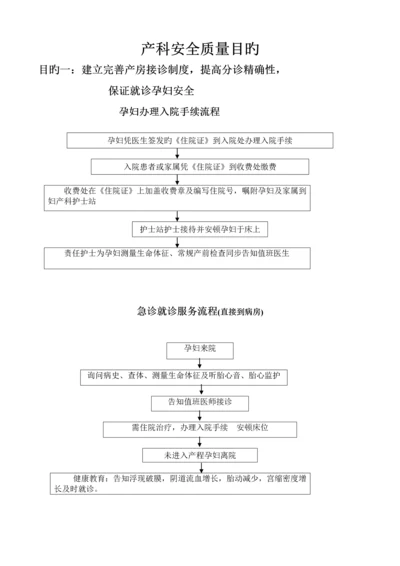 产科十大安全目标的指引与标准流程.docx
