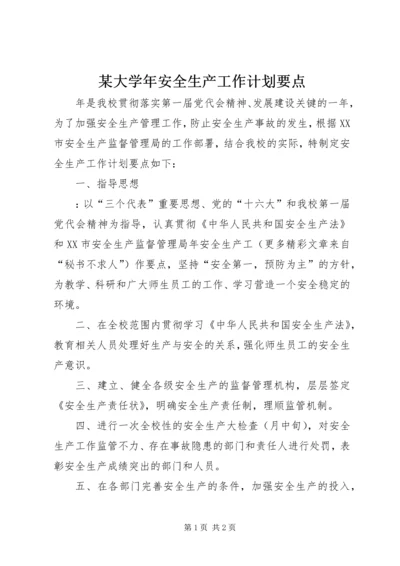 某大学年安全生产工作计划要点.docx