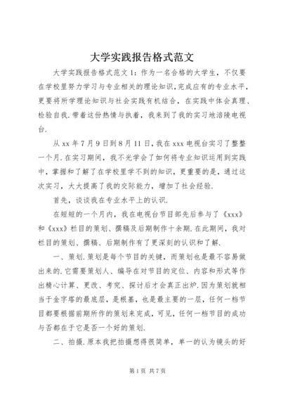 大学实践报告格式范文.docx