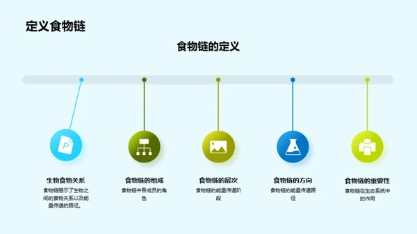 深度解析食物链