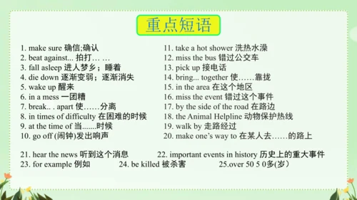 Unit 5 期末复习短语归纳课件（人教八下Unit5 What were you doing wh