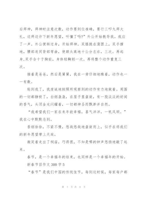 新春节目优秀作文300字5篇.docx