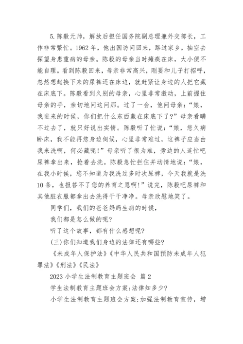 2023小学生法制教育主题班会.docx