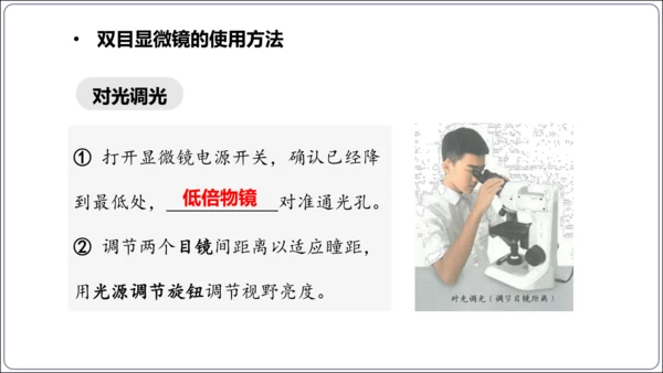 1.1&1.2 认识生物和细胞（复习课件）【2024人教新版七上生物高效完全备课】(共44张PPT)