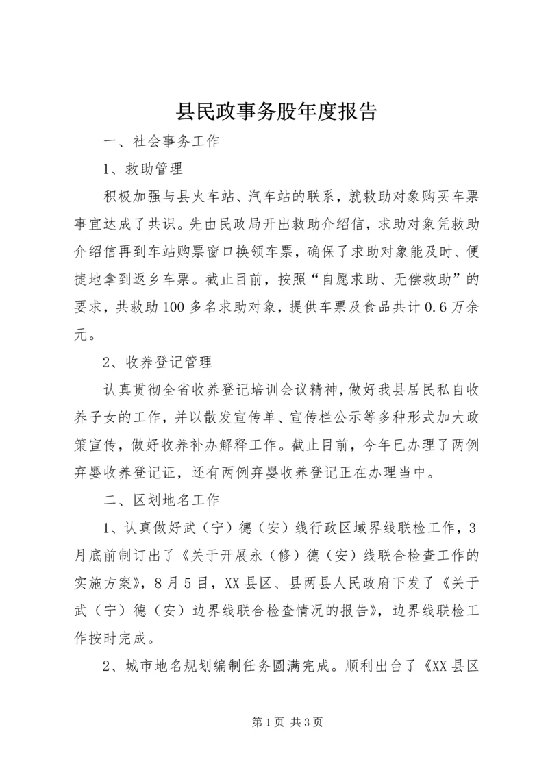 县民政事务股年度报告.docx