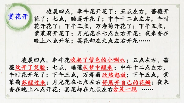 13《花钟》（课件）